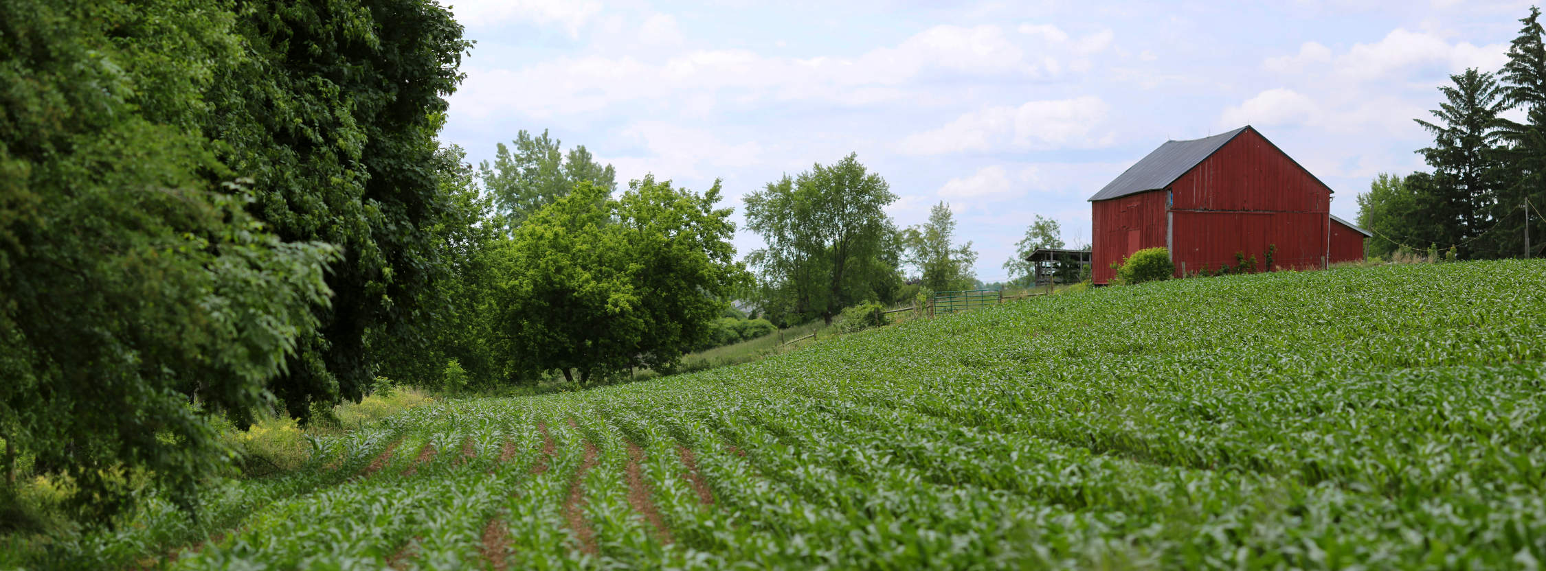 Seneca Foods - Farm Fresh Goodness Made Great