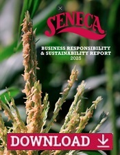 Responsibility Report Download